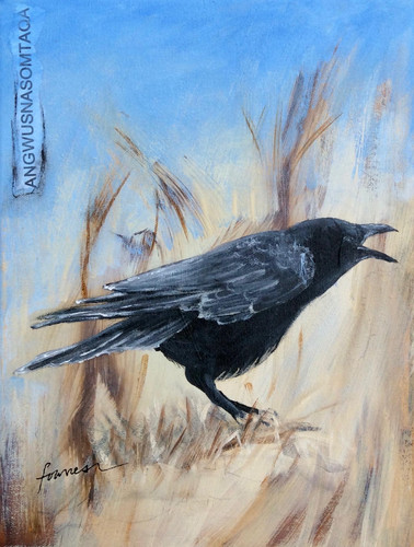 Crow Mother Spirit Hopi